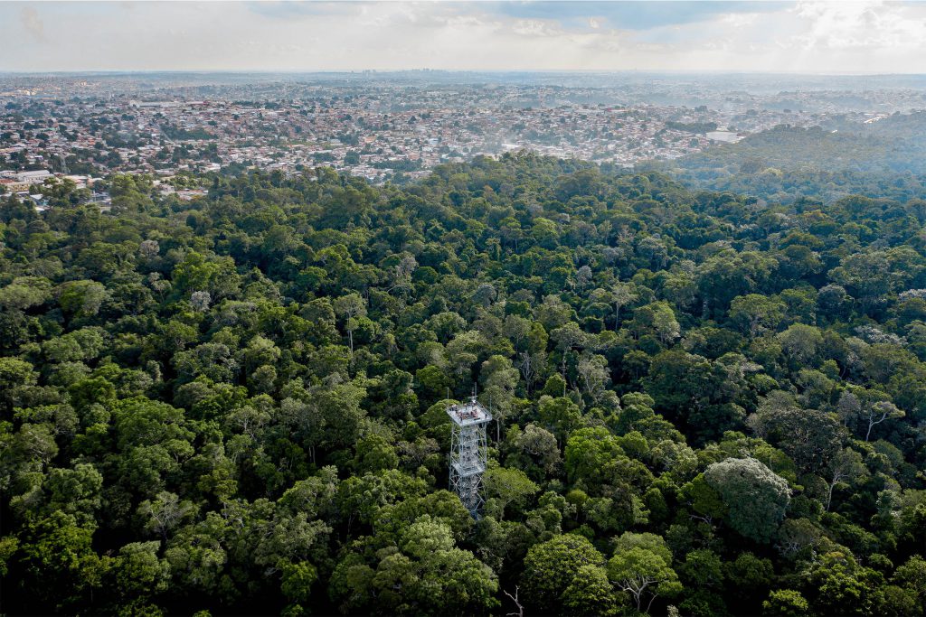 Fotografia colorida e aérea da floresta amazônica. Ao fundo, uma cidade.