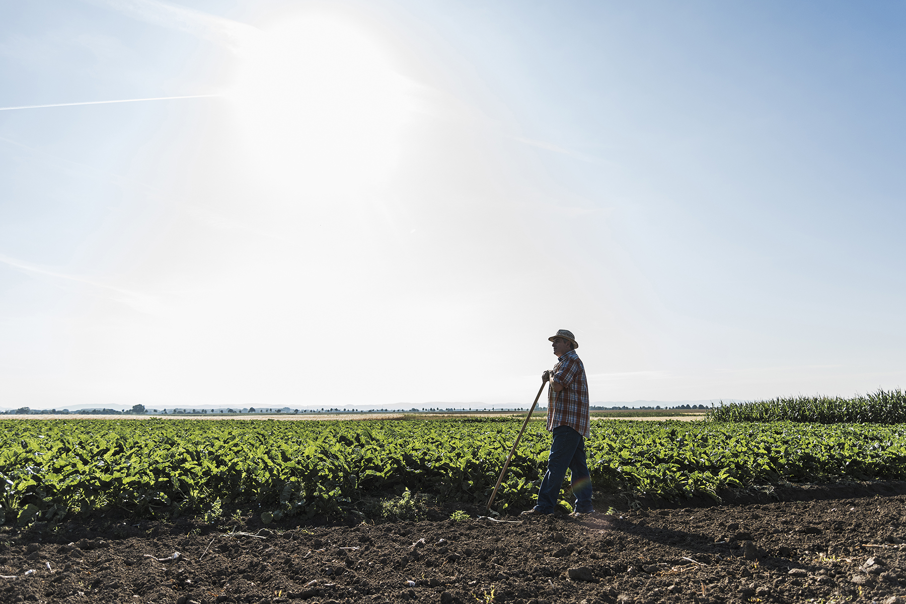 Fotografia colorida que mostra um homem em um ambiente rural. O homem está em pé e segura uma ferramenta com as mãos. Atrás dele, uma plantação.
